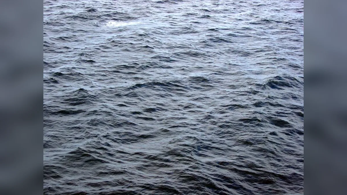 Сонник к чему снится вода море